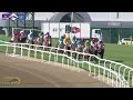 20240706 hollywoodbets greyville race 4 won by madison valley dstv gold vase