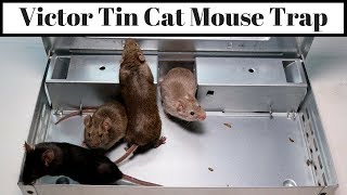 Victor Tin Cat Mouse Trap - Claims to Catch 30 Mice In One Night