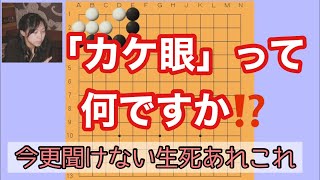 初級者アルアル🤔今更聞けないあれこれQ＆A☘️その2「カケ眼」って何ですか⁉️