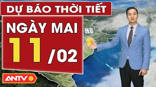 Dự báo thời tiết mới nhất ngày mai 11/2: Bắc Bộ rét sâu, Trung Bộ mưa rải rác | ANTV