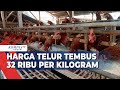 Harga Telur Ayam Tembus 32 Ribu Rupiah Per Kilogram