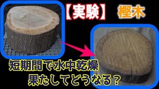 【実験】短期間で薪割り台を水中乾燥してみる