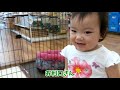 【笑顔満開🌸】子犬との出会いに大興奮する1歳3ヶ月の赤ちゃん　みはるんchannel