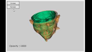 Head visualization VTK(python)