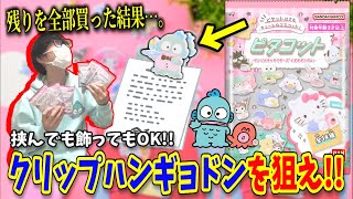 これはクリップ？フィギュア？くすみカラーが可愛いハンギョドンを当てろ！【サンリオ購入品】