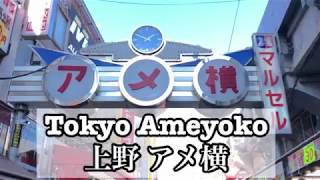 【4K】TOKYO UENO AMEYOKO|TRAVEL GUIDE|