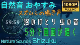 【自然音でおやすみ】スズムシの鳴き声で眠りにつくおやすみタイマー1時間 沼のほとりの虫の音 睡眠用BGM