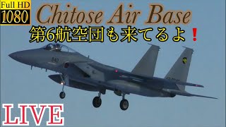 千歳基地外周ランウェイ36エンドLIVE ＃千歳基地 ＃航空自衛隊 ＃F15戦闘機 ＃政府専用機 ＃LIVE