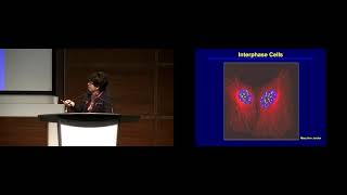 Susan Horwitz - Canada Gairdner Laureate Lecture