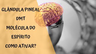 COMO ATIVAR A PINEAL - DMT (MOLÉCULA DO ESPÍRITO)