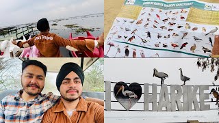 Visit to Bird Sanctuary😃 | Harike