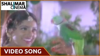 Pelli Sandadi Movie || Maa Perati Jamchettu Video Song || Srikanth, Ravali