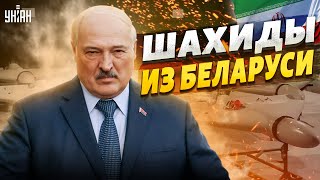 В Беларуси появится завод "шахедов". Лукашенко уже присмотрел место - Мартынова