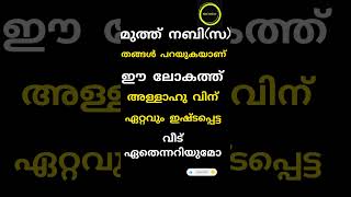 സല്ലല്ലാഹു അലാ മുഹമ്മദ് സല്ലല്ലാഹു അലൈഹിവസല്ലം ❤️❤️❤️❤️🕋🕋🕋🕋🕋