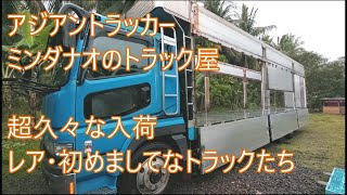 久々の3台入荷　またレアトラック含有　間違い探し動画付　アジアントラッカー　ASIAN TRUCKER