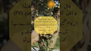 اس کا ہم نشین ( شیطان ) کہے گا اے ہمارے رب!  .#quran #paradise #islamicquotes