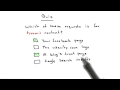 Dynamic Content Solution - Web Development