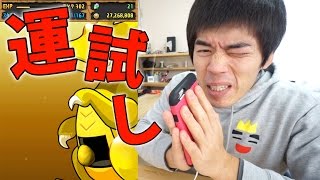 【パズドラ】新年最初の運試しでアイツがキター！ゴッドフェス 5連