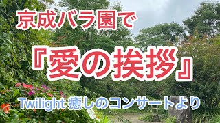 京成バラ園で『愛の挨拶』弾いてきました。