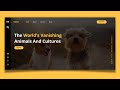 How To Create A Website Using HTML & CSS Step By Step | Web Design Tutorial