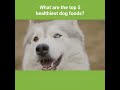 What are the best dog foods for my pup? - TOP 5 Healthy Dog Foods (2021 Review)