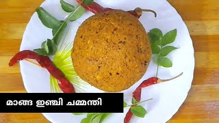 മാങ്ങ ഇഞ്ചി ചമ്മന്തി |mango ginger chammanthi|manga inji chammanthi