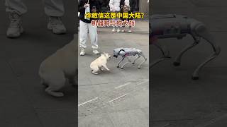 This is China’s robot dog