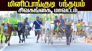 சிவகங்கை-மாவட்டம்-மினிட்டாங்குடி-பந்தயம்14.01.2025