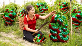 Country Life | Women Harvesting delicious purple tomatoes goes to sell | delicious tomato recipes