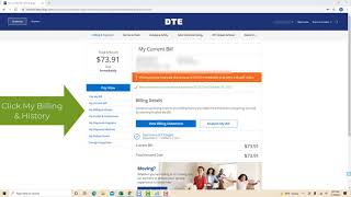 How to view your DTE billing history