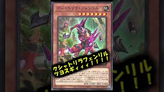 【遊戯王】新弾のクシャトリラフェンリルが環境必須の強カードである点を紹介します