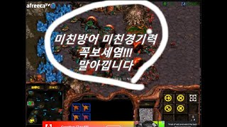 [스틱] 왜저그가 주종인지 진짜 찐경기 보여드립니다 보시면압니다 헌터스타팀플 TeamPlay StarCraft  星際爭霸