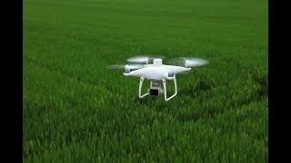 DJI Phantom 4 MULTISPECTRAL (AGRICULTURE DRONE SURVEY \u0026 ANALYTICS)