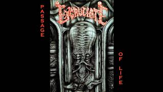 Excruciate – Passage Of Life - Death Metal - [1993] -┃Comando Metal