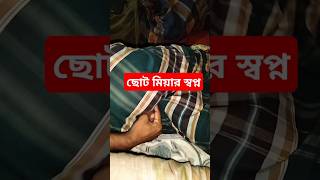 ছোট মিয়ার স্বপ্ন যখন বাস্তব হয় ||Brand polapain||new funny video 2025