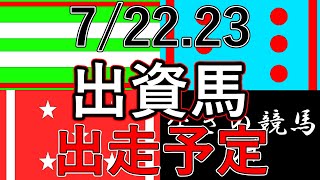 一口馬主出資馬の出走予定です