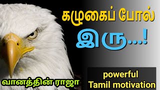 The Eagle Mentality - Best Motivational Video-கழுகு உணர்த்தும் பாடம் | kadhai |  Iyalvathu Karavel