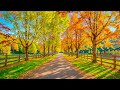 Beautiful Relaxing Music - Stop Overthinking, Stress Relief Music, Sleep Music, Calming Music #83