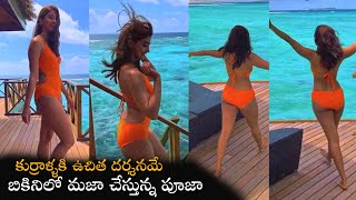 Actress Pooja Hegde H0T Looks in Swimsuit | Pooja Hegde Maldives Trip | NSE
