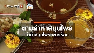 ตามล่าหาสมุนไพร ทำน้ำสมุนไพรคลายร้อน : วิชาประสบการณ์ชีวิต (4 มิ.ย. 63)