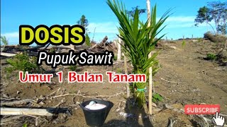 Dosis Pupuk UREA untuk sawit umur 1  bulan tanam