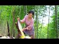Bamboo Shoot Feast | Various ways to eat spring bamboo shoots, the nostalgia to me. [Shen Dan]