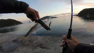 MICRO JIG 10 GRAM & MINNOW 6 GRAM FULL STRIKE  | ULTRALIGHT FISHING.