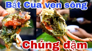 Bắt Cua Ven Sông Nấu Mì Toàn Cua Gạch Cua Cớm Hai Da