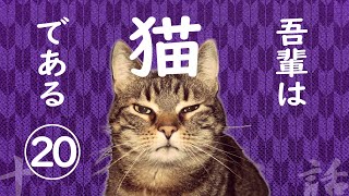 【朗読】吾輩は猫である(20)／夏目漱石