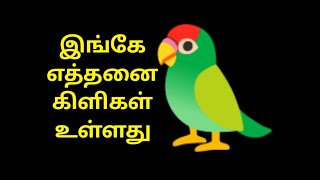 June 1, இங்கே எத்தனை கிளிகள் அமர்ந்திருக்கிறது - tamil quiz time - 2