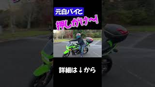 バイクの押しがけのやり方　 #元白バイ #zrx