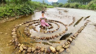 Fish trapping skills girl creates spiral trap to harvest lots of fish