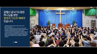 [갈멜산금식기도원] 조성근 담임목사, 돌무화과 나무에서(눅 19:1-10)