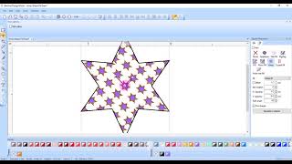 13.07: Editing a Shape Fit Array Fill in BERNINA DesignWorks: